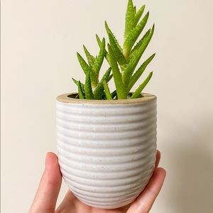 Neutral ribbed planter